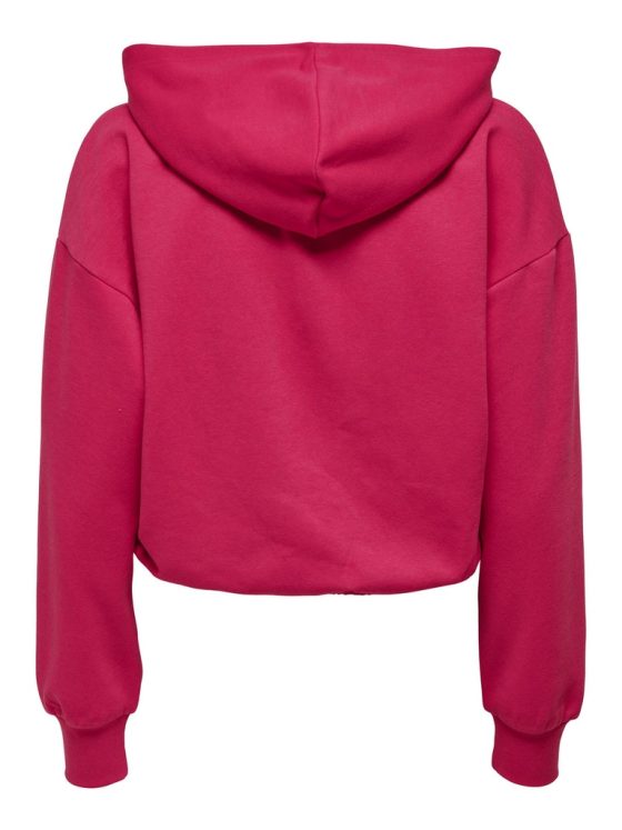 ONLY COOPER LONG SLEEVE HOODIE SWEATER 15239888