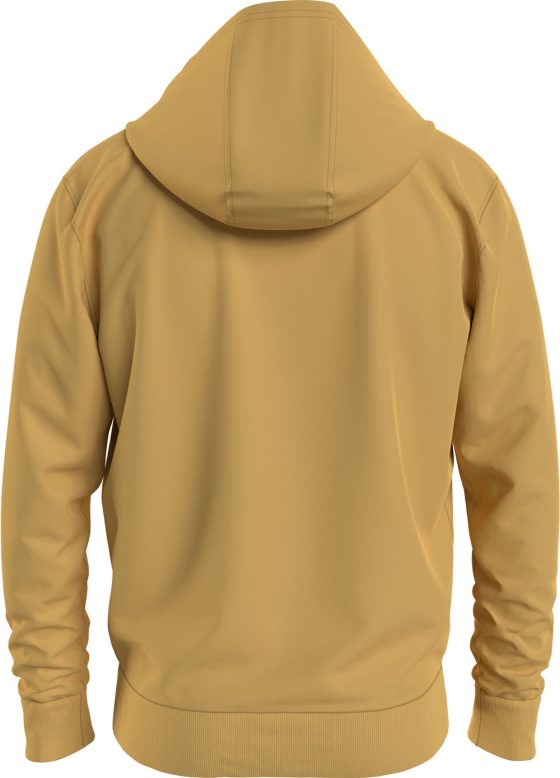 TOMMY JEANS ENTRY ATHLETICS HOODIE DM0DM13878