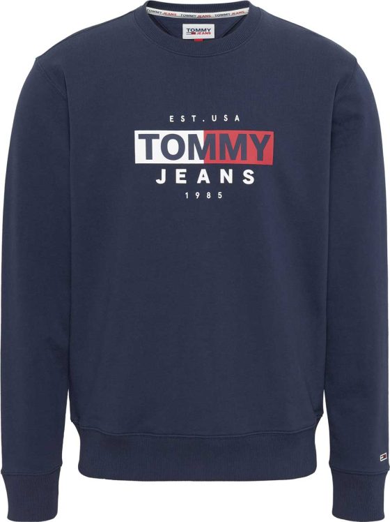 TOMMY JEANS ENTRY FLAG CREW DM0DM14341