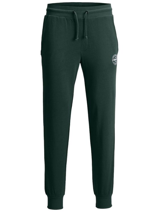 JACK&JONES GORDON SHARK SWEAT PANTS 12165322