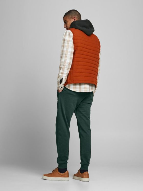 JACK&JONES GORDON SHARK SWEAT PANTS 12165322