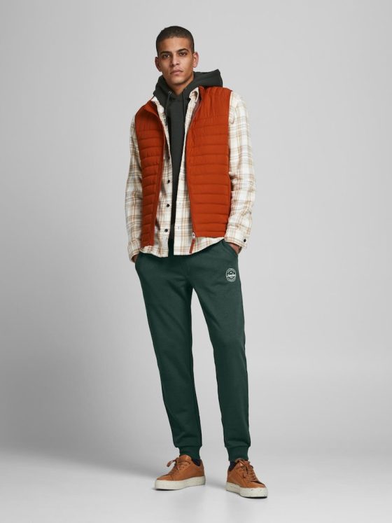 JACK&JONES GORDON SHARK SWEAT PANTS 12165322