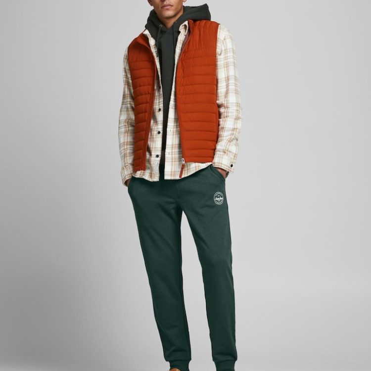 JACK&JONES GORDON SHARK SWEAT PANTS 12165322