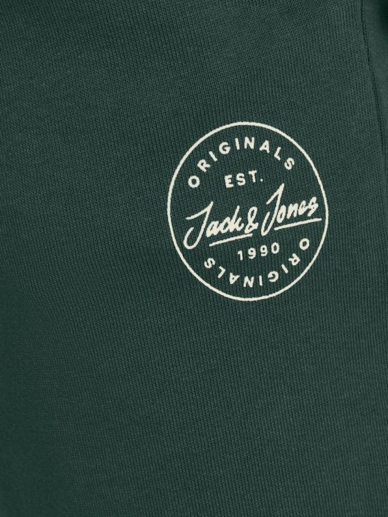 JACK&JONES GORDON SHARK SWEAT PANTS 12165322