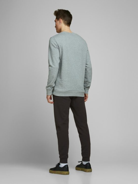 JACK&JONES GORDON SHARK SWEAT PANTS 12165322