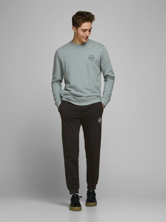 JACK&JONES GORDON SHARK SWEAT PANTS 12165322
