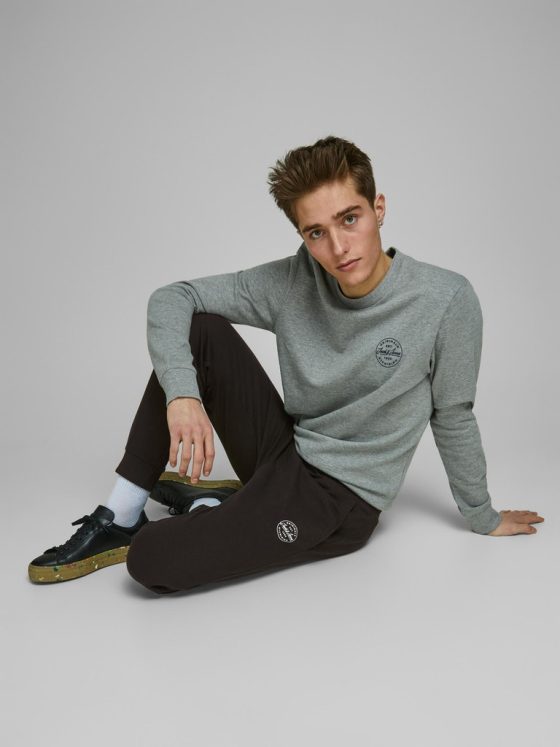 JACK&JONES GORDON SHARK SWEAT PANTS 12165322