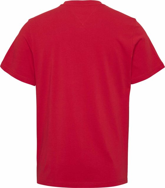 TOMMY JEANS REGULAR ENTRY TEE DM0DM15682