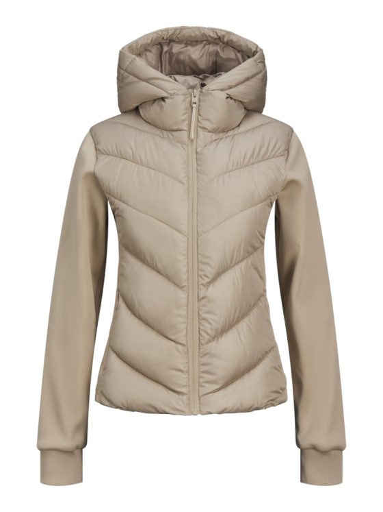 JJXX_FallWinter2024_4608393_12264632