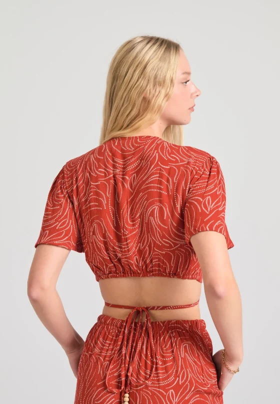 FBL011-100-17_SPICE_BROWN_5